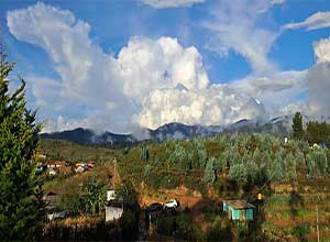 Hill View Poondi Cottages